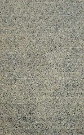 Modern Oriental Area Rug 6x9 in Soft Hues with Intricate Patterns