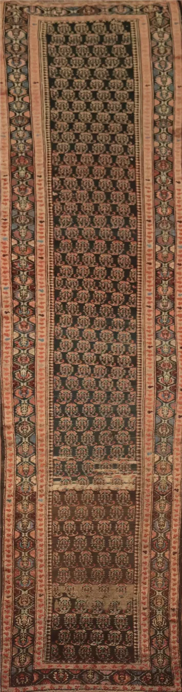 Pre-1900 Antique Vegetable Dye Sirjan Persian Runner Rug 3x15