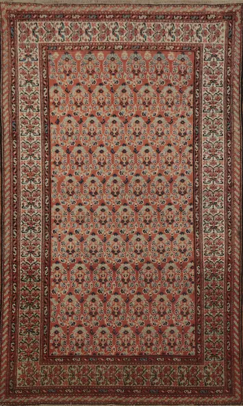 Vegetable Dye Malayer Persian Rug 4x6