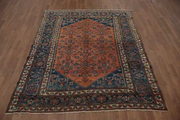 Vegetable Dye Malayer Persian Area Rug 5x6