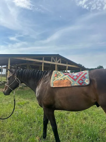 Durable Equine Saddle Pad with Rustic Southwestern Style 28x35 inches