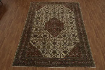 Pre-1900 Antique Sultanabad Persian Vegetable Dye Rug 8x12