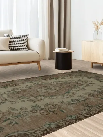 Classic Ornate Design Anatolian Area Rug 6x9 in Neutral Shades