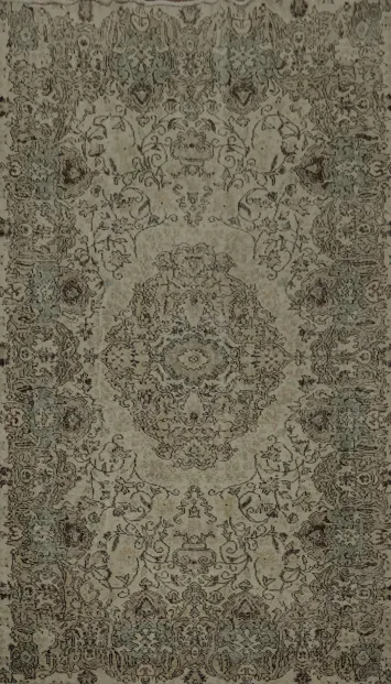 Ornate Anatolian Distressed Area Rug 5x8 in Subtle Earthy Tones