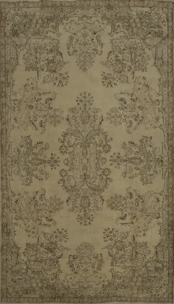 Distressed Ornate Anatolian Area Rug 5x9 Classic Charm to Any Room