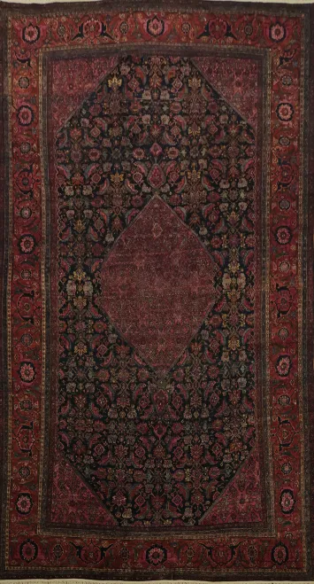 Pre-1900 Antique Bibikabad Persian Vegetable Dye Rug 12x22
