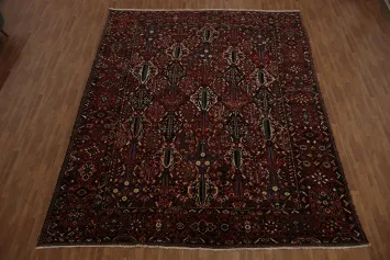 Antique Vegetable Dye Bakhtiari Persian Large Rug 11x14