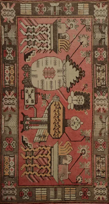 Cultural Artistic Displayed on Khotan Vegetable Dye Area Rug 5x9