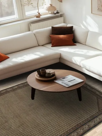 Classic Botemir Area Rug 6x9 with Sophisticated Border Design