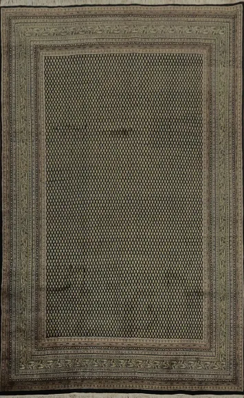 Elegant Botemir Area Rug 8x11 Traditional Design for Any Room