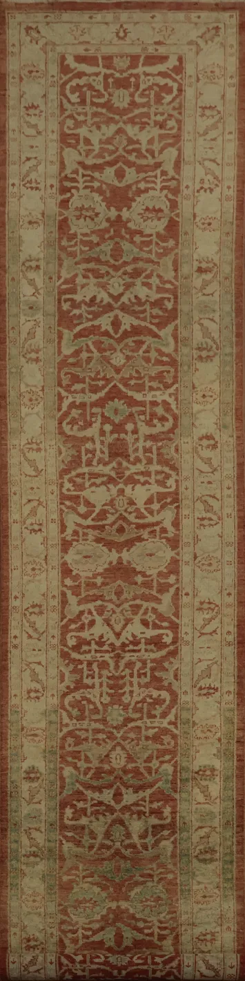 Ornate Ziegler Oriental Runner Rug 3x13 Perfect for Hallways
