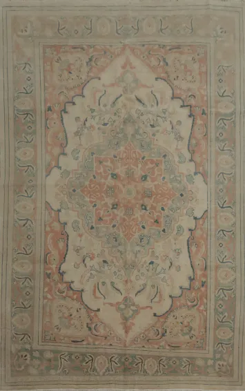 Timeless Elegance Ornate Ziegler Oriental Area Rug 7x10