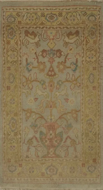 Floral Ziegler Oriental Rug 2x3 Ornate Details and Borders