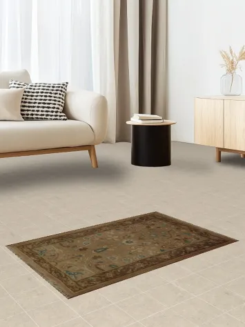 Ziegler Egyptian Brown Accent Rug 2x3