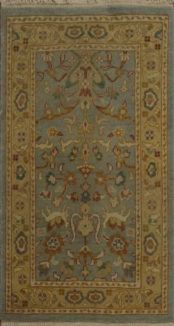Classic Beige and Blue Rug with Intricate Antique Patterns 2x4