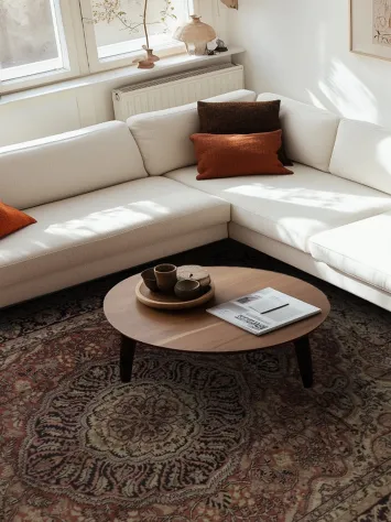 Silk Anatolian Turkish Area Rug 9x11