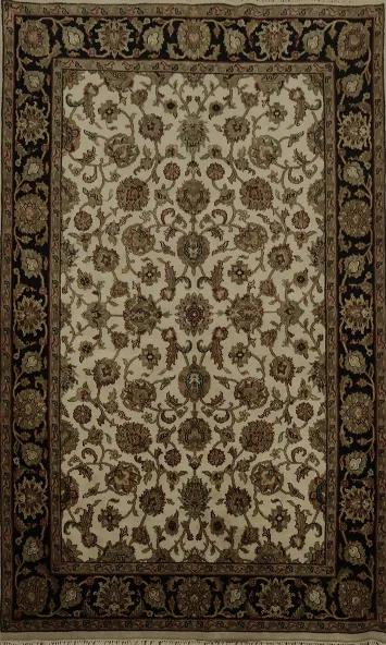 Traditional Floral Ivory and Black Agra Area Rug 6x9