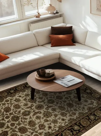 Traditional Floral Ivory and Black Agra Area Rug 6x9