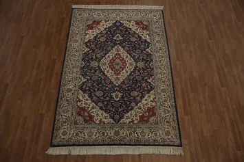 Traditional Persian Style Navy Blue and Red Area Rug 6x9