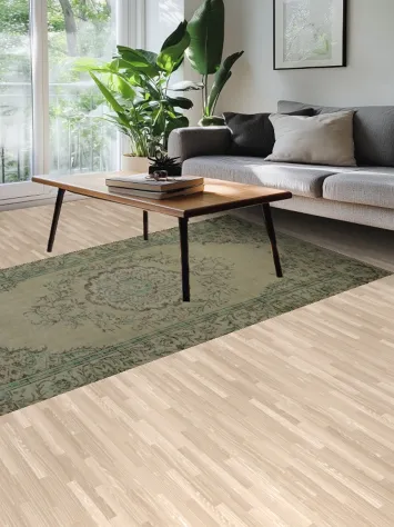 Classic Charm: Ornate Vintage Distressed Area Rug 6x9