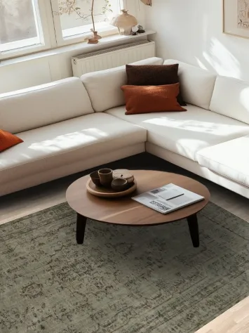 Vintage Charm: Turkey Distressed Green and Gray Area Rug 6x9