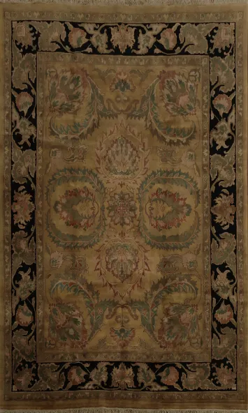 Agra Oriental Area Rug 9x12