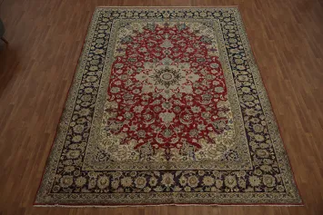 Najafabad Persian Area Rug 10x13