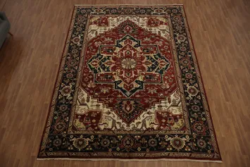 Oriental Heriz Area Rug 10x14