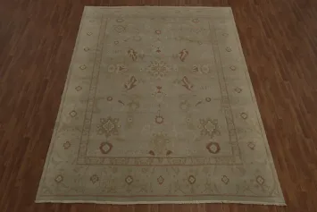Versatile beauty: Ziegler Oriental Area Rug 9x12