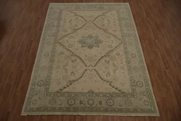 Vegetable Dye Decorative Ziegler Oriental Area Rug 9x13