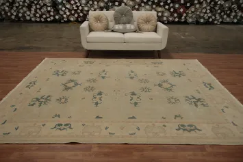 Decorative Ziegler Oriental Area Rug 8x10