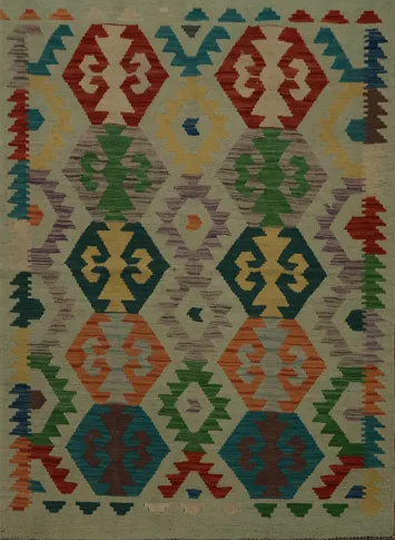 Kilim Oriental Rug 3x5