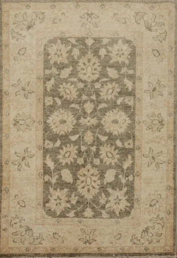 Peshawar Oriental Rug 3x4