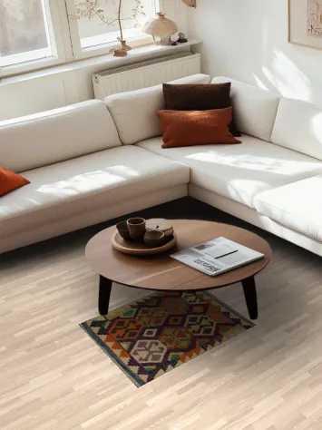 Kilim Oriental Rug 2x3