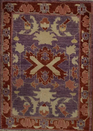Exquisite Purple and Red Harmonious Design Rug 2x3