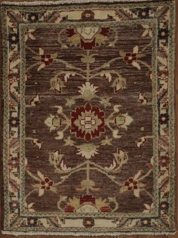 Floral Brown and Red Peshawar Foyer Rug 2x3