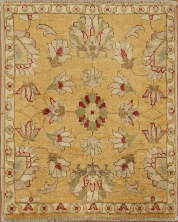 Classic Handcrafted Rug in Warm Tones with Bold Patterns 2x3