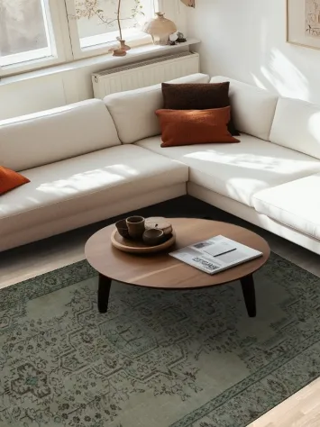 Classic style area rug Distressed Turkish 6x10