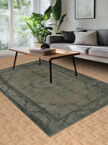 Muted Toned Rug with Vintage Distressed 6x9