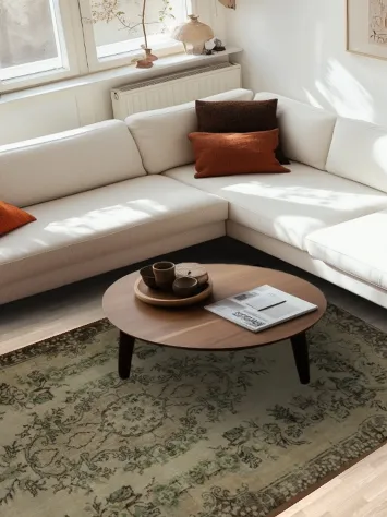 Classic Medallion Turkish Distressed Rug 6x10