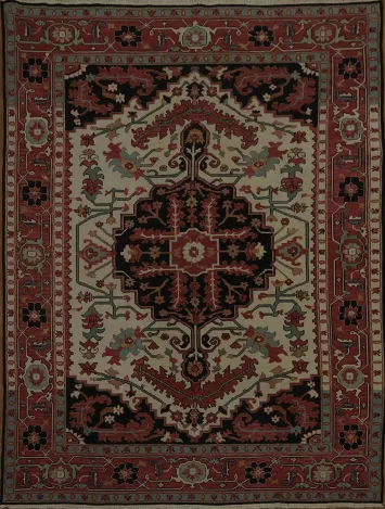 Timeless Traditional Sumak Heriz Chinese Area Rug 9x12