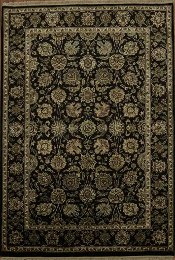 Classic Oriental Style Agra Oriental Area Rug 6x9