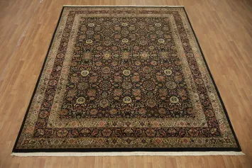 Elegant Persian-Inspired Agra Oriental Area Rug 8x10