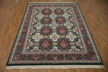 Exclusive Classic Agra Oriental Area Rug 8x11