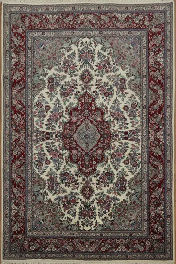 Traditional oriental 6x9 Aubusson Chine Rug