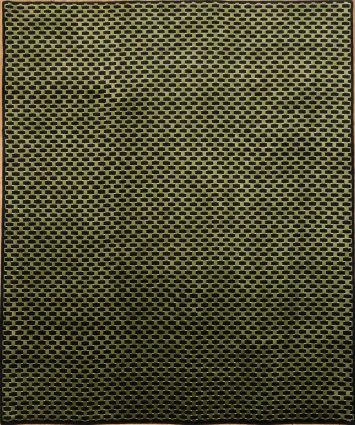 Elegant Green & Black Modern Design Gabbeh Oriental Area Rug 8x10