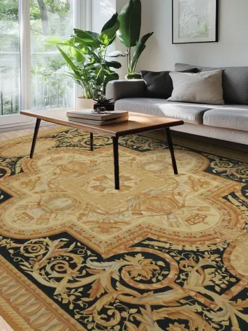 Luxurious Baroque Elegance: Aubusson Tapestry Chinese Area Rug 9x12