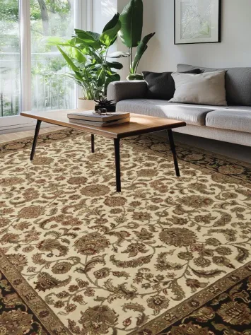 Ivory and Black Border Traditional Agra Oriental Rug 9x12