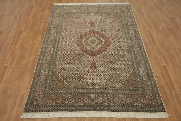 Traditional Style Tabriz-Mahi Persian Area Rug 6x10