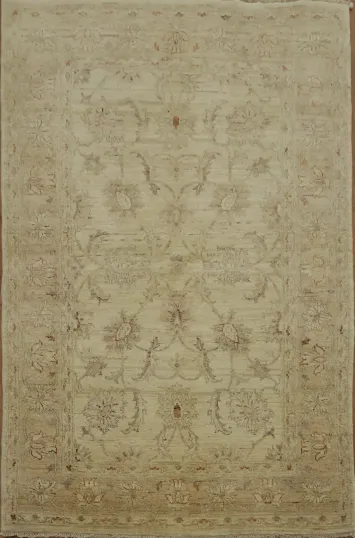 Intricate Patterned Traditional Oriental Ziegler Area Rug 4x6